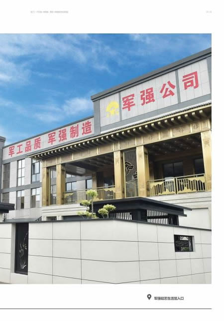 庭院大門效果圖大全